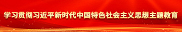 日嫩逼网学习贯彻习近平新时代中国特色社会主义思想主题教育